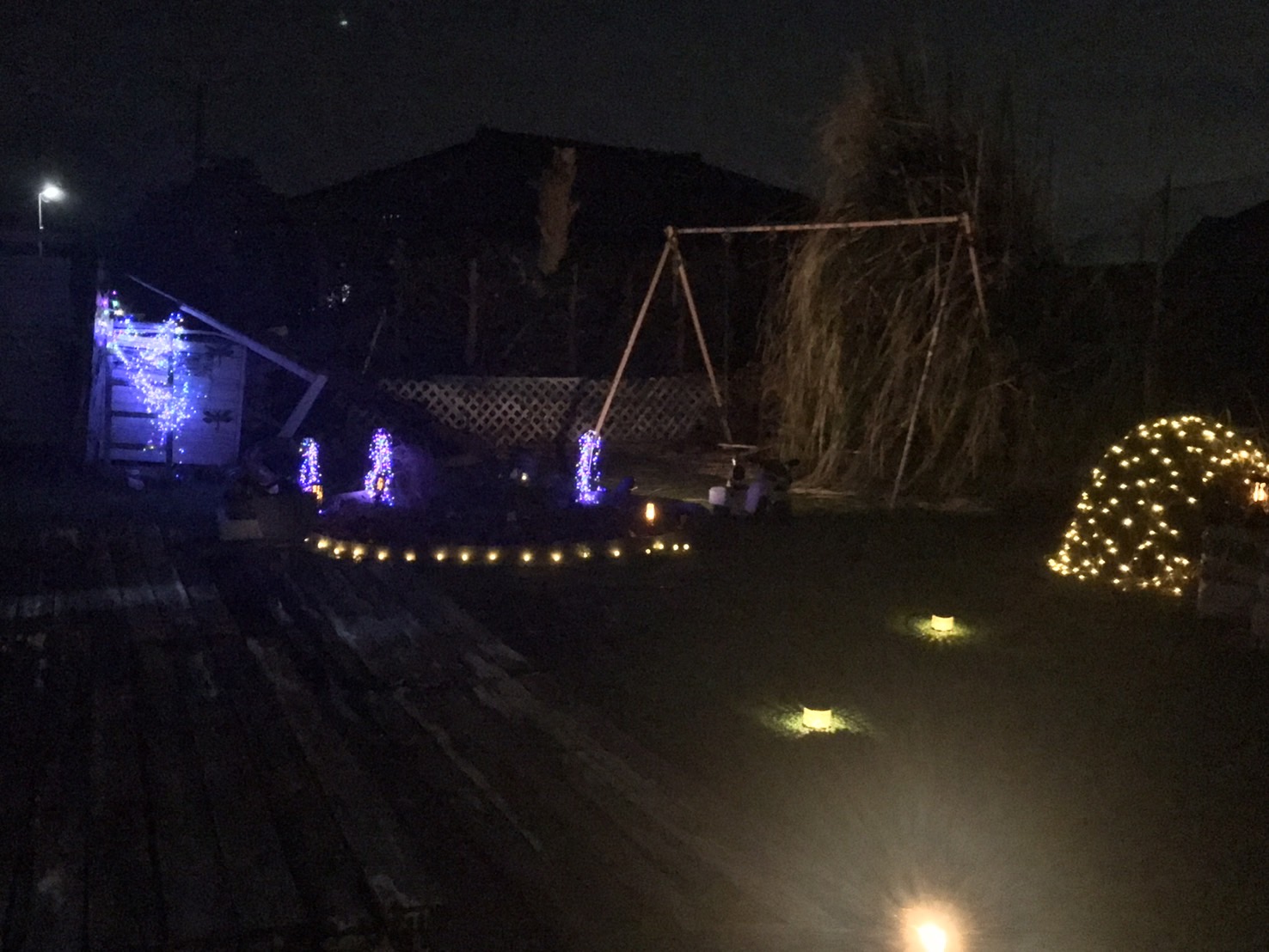 イルミネーションライトを配置した幻想的なナイトガーデンの風景